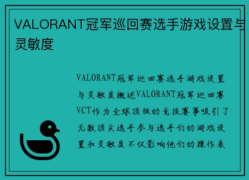 VALORANT冠军巡回赛选手游戏设置与灵敏度