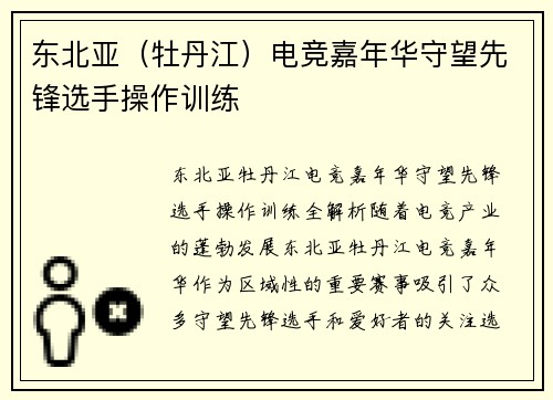 东北亚（牡丹江）电竞嘉年华守望先锋选手操作训练