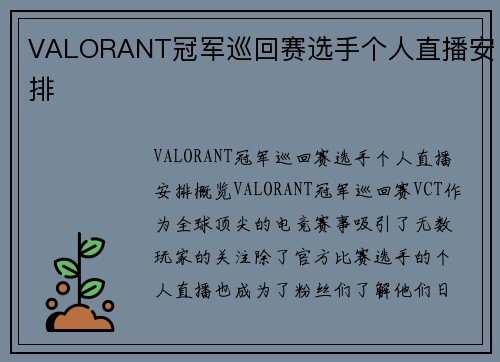 VALORANT冠军巡回赛选手个人直播安排